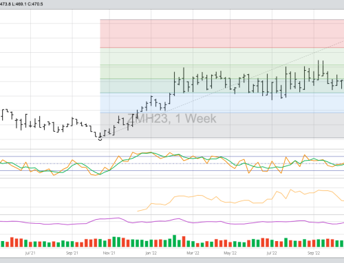 Weekly Analysis: Soybean Meal