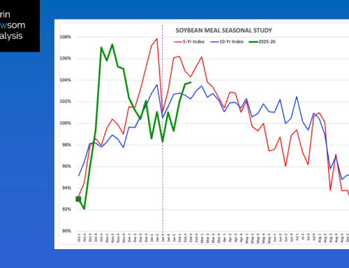Soybean Meal