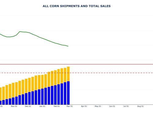 Corn Sales and Shipments