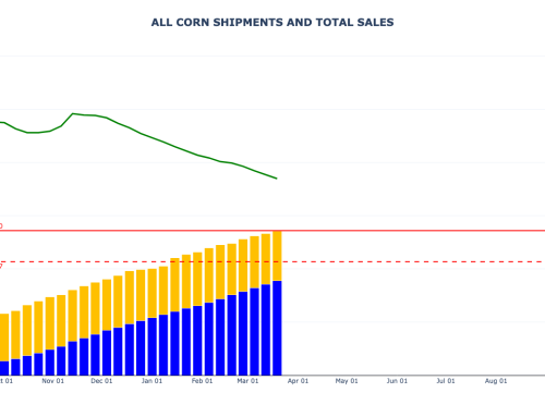 Corn Sales and Shipments