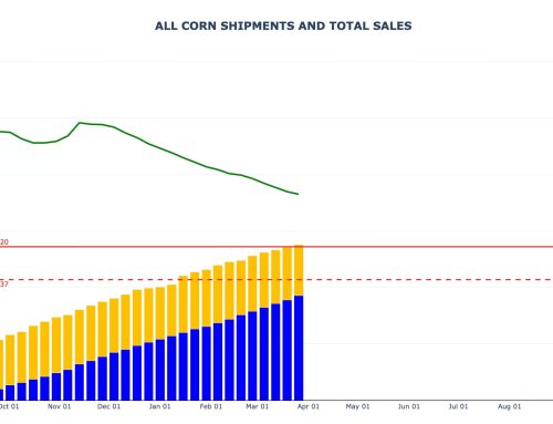 Corn Sales and Shipments