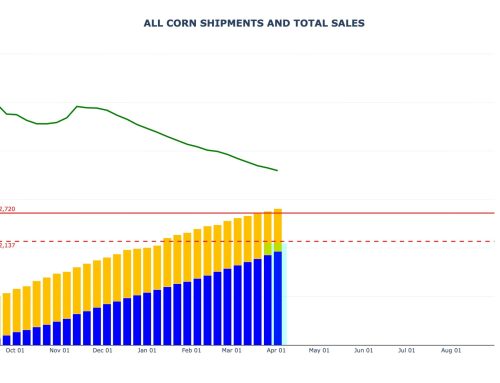 Corn Sales and Shipments