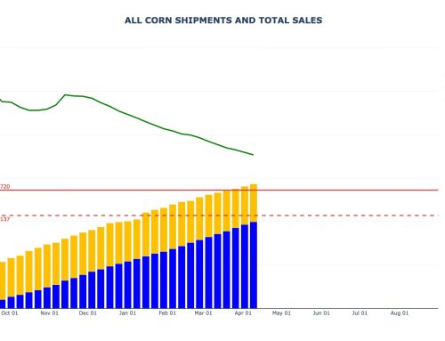 Corn Sales and Shipments