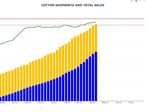 Cotton Sales and Shipments