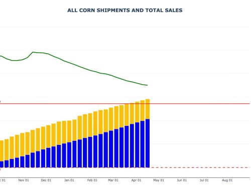 Corn Sales and Shipments