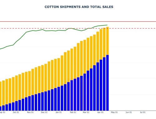 Cotton Sales and Shipments