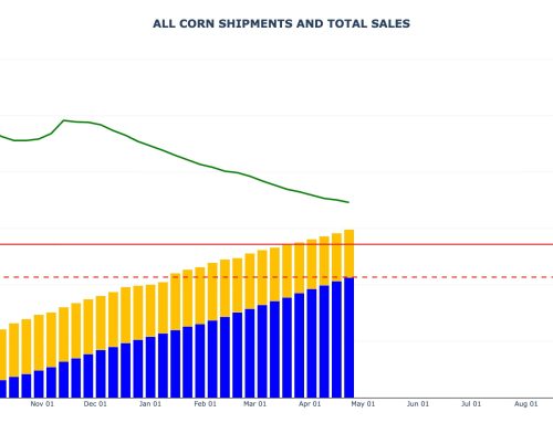 Corn Sales and Shipments