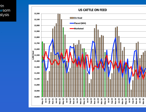 2026: May 1 Cattle of Feed