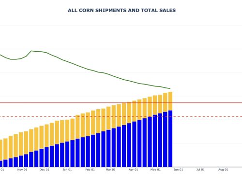 Corn Export Sales and Shipments