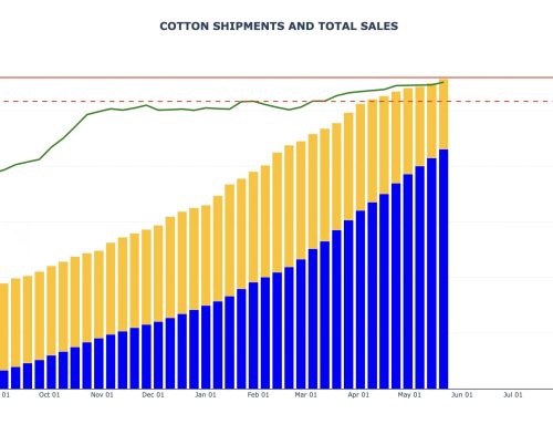 Cotton Export Sales and Shipments