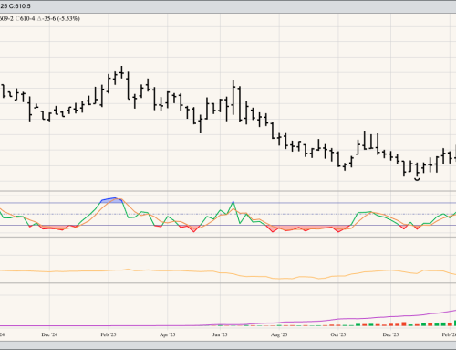SRW Wheat