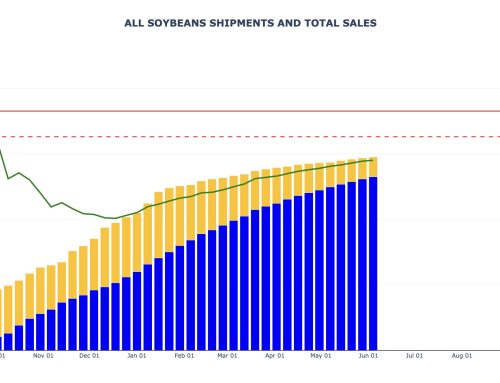 Soybean Export Sales and Shipments