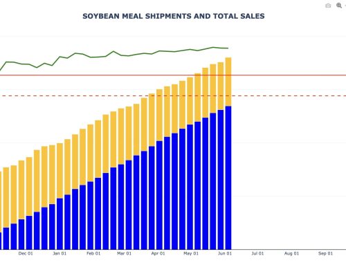 Soybean Meal Export Sales and Shipments