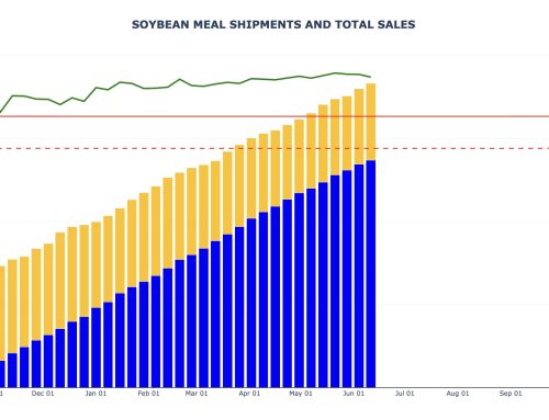 Soybean Meal Export Sales and Shipments