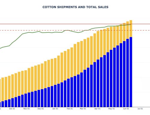 Cotton Export Sales and Shipments