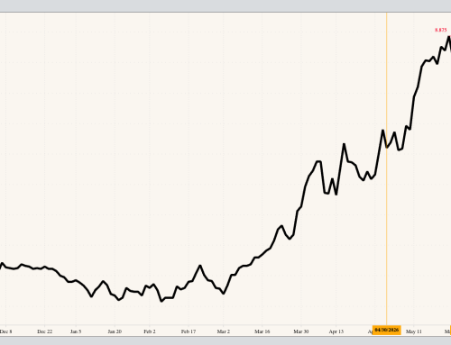 August-October Live Cattle Spread