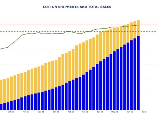 Cotton Export Sales and Shipments