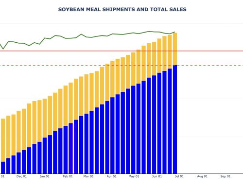 Soybean Meal Export Sales and Shipments