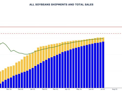 Soybean Export Sales and Shipments