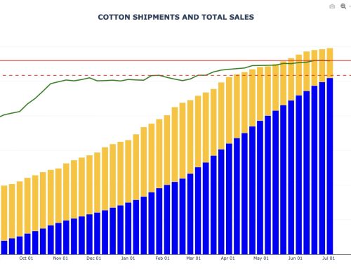 Cotton Export Sales and Shipments