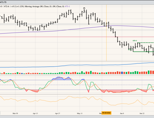 December Corn Daily