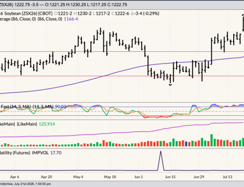 November Soybeans Daily Chart