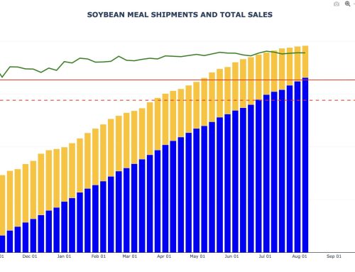 Soybean Meal Export Sales and Shipments