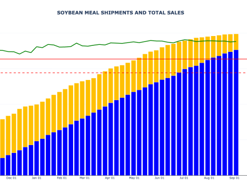 Soybean Meal Export Sales and Shipments