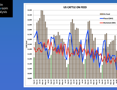 2026: September 1 Cattle on Feed