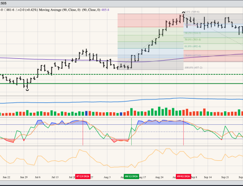 December Corn Daily