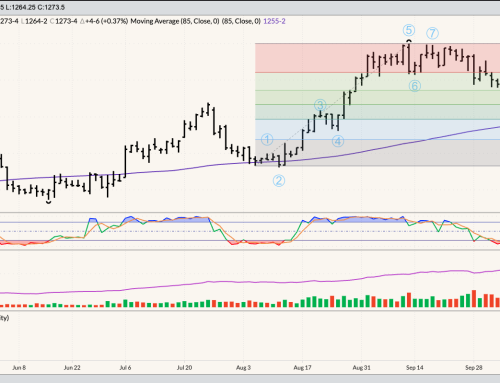 January Soybeans Daily