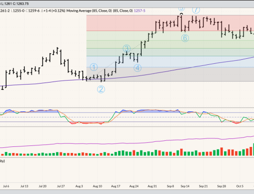 January Soybean Daily – Update