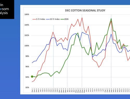 December Cotton